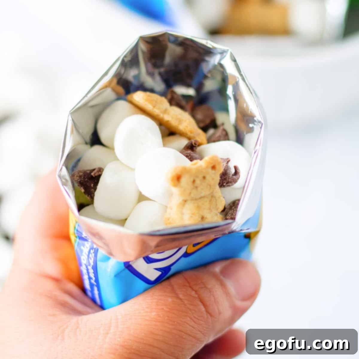On the Go Smores 1 featured 105313