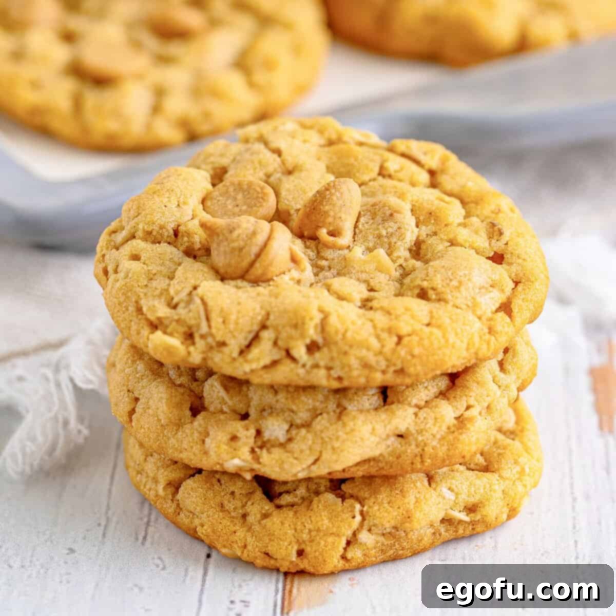 Peanut Butter Oat Cookie Bliss 1 featured 110308