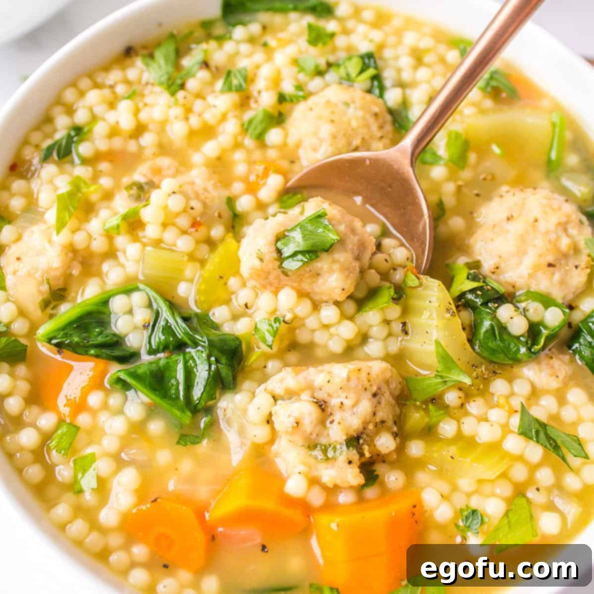 Italian Celebration Soup 1 featured 112800