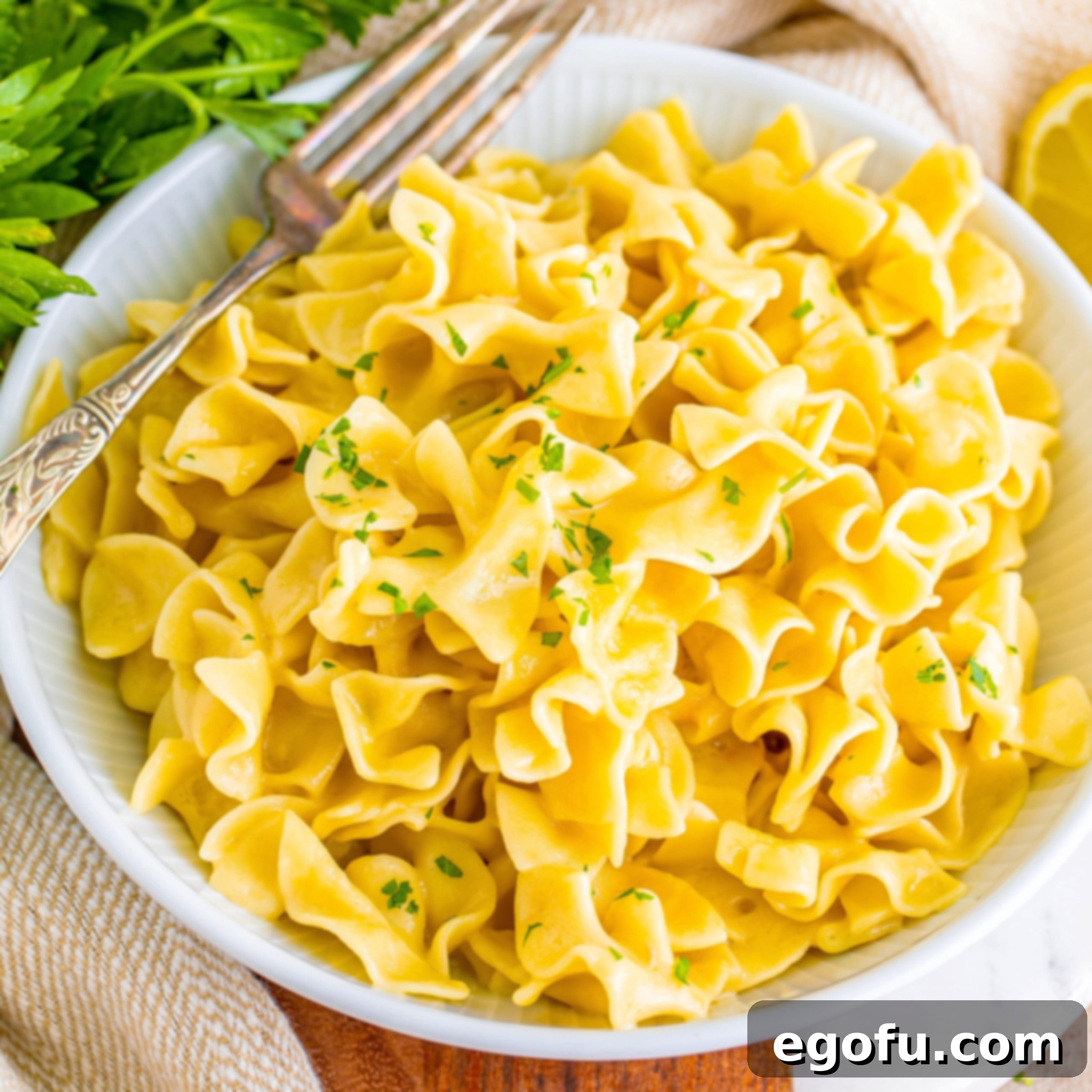 Campus Noodle Comfort 1 featured 113208