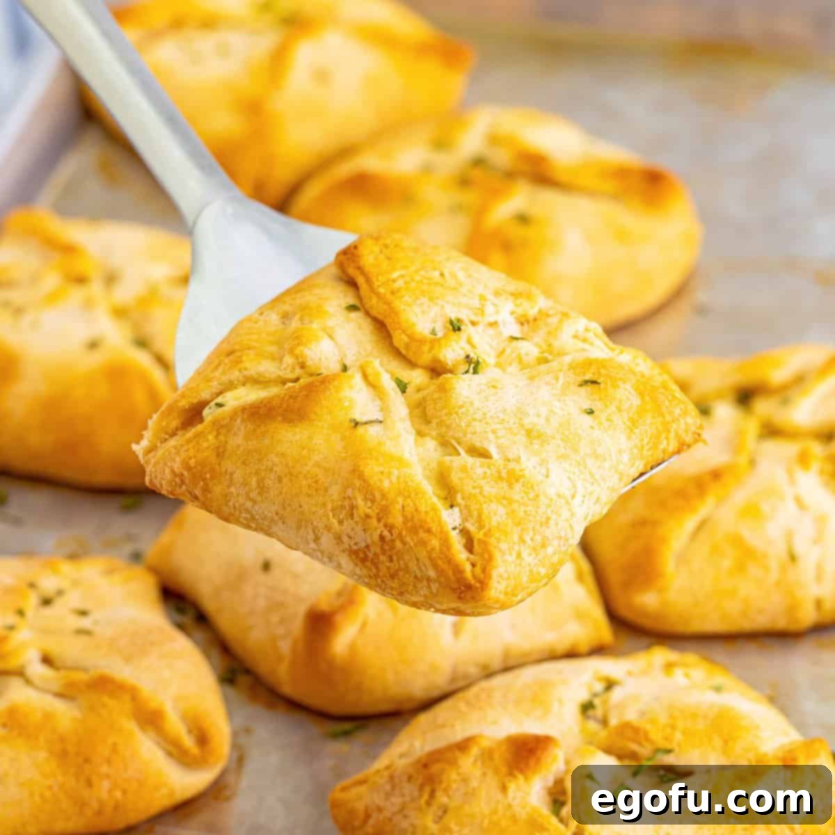 Savory Chicken Pockets 1 featured 134229