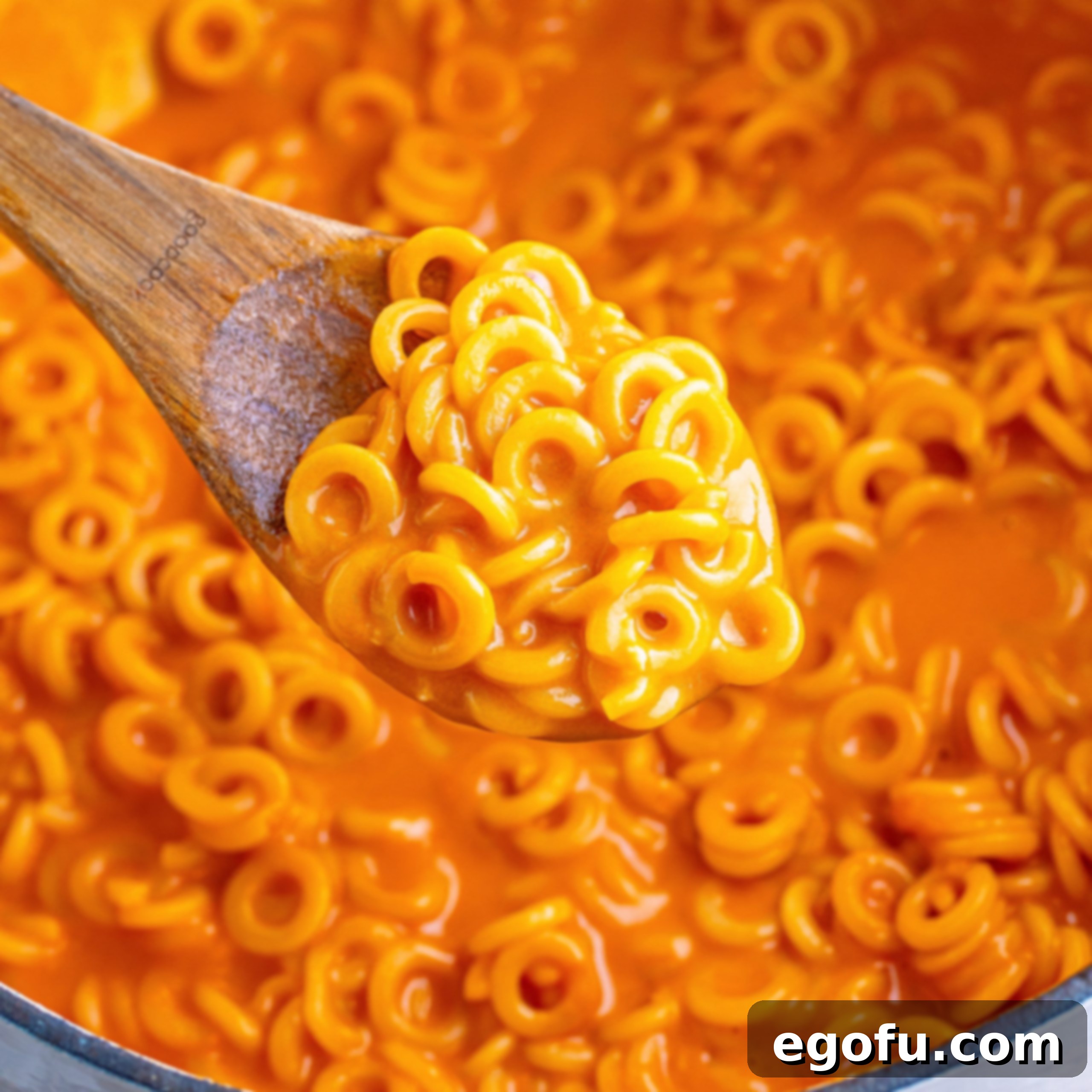 Wholesome Pasta O's 1 featured 154435