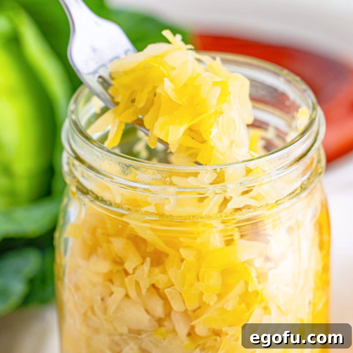 Fermented Goodness at Home 1 featured 157747