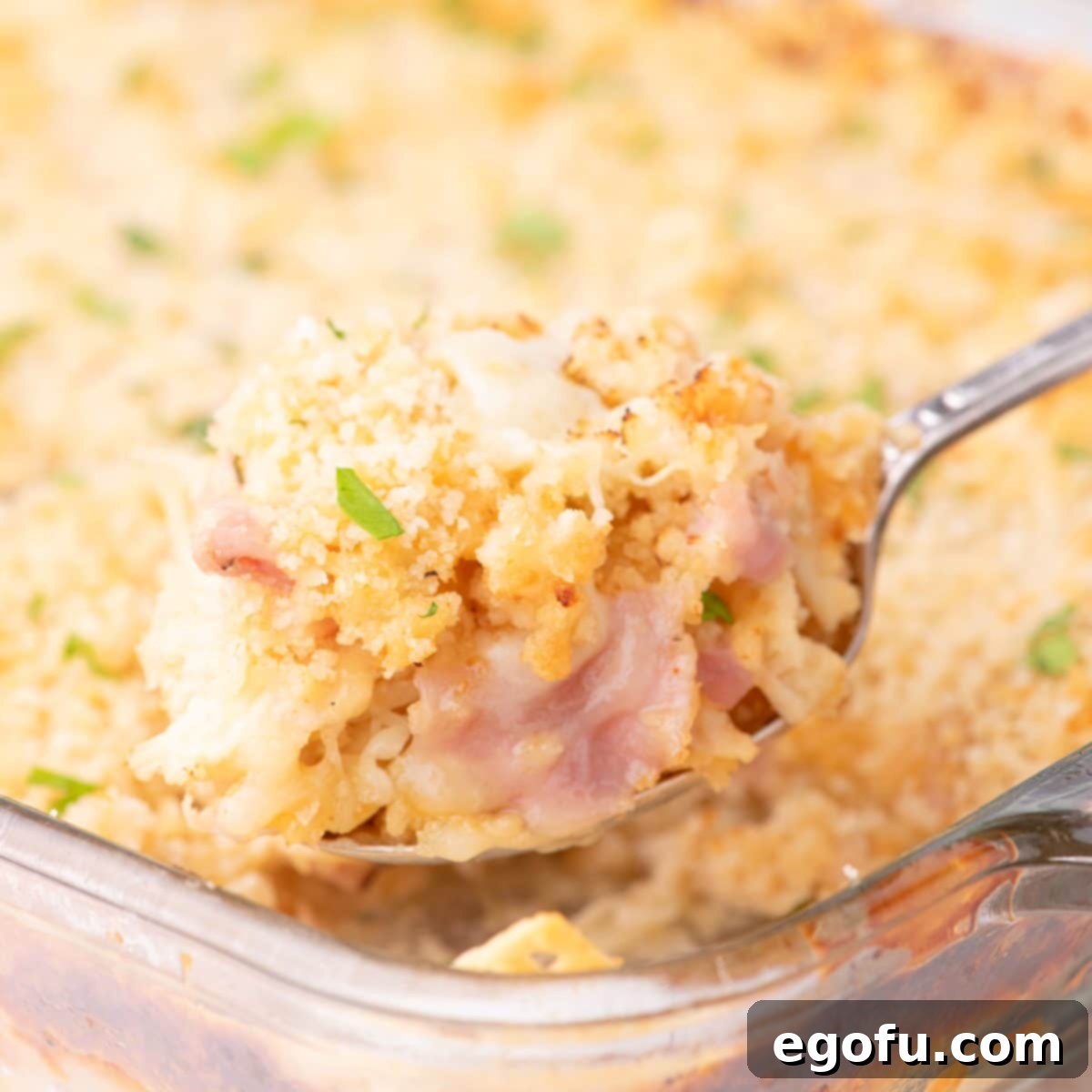 Golden Baked Chicken Ham and Swiss Casserole 1 featured 164842