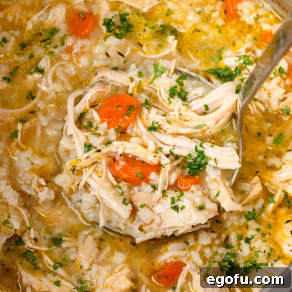 Comforting Instant Pot Chicken and Rice Soup 1 featured 177338