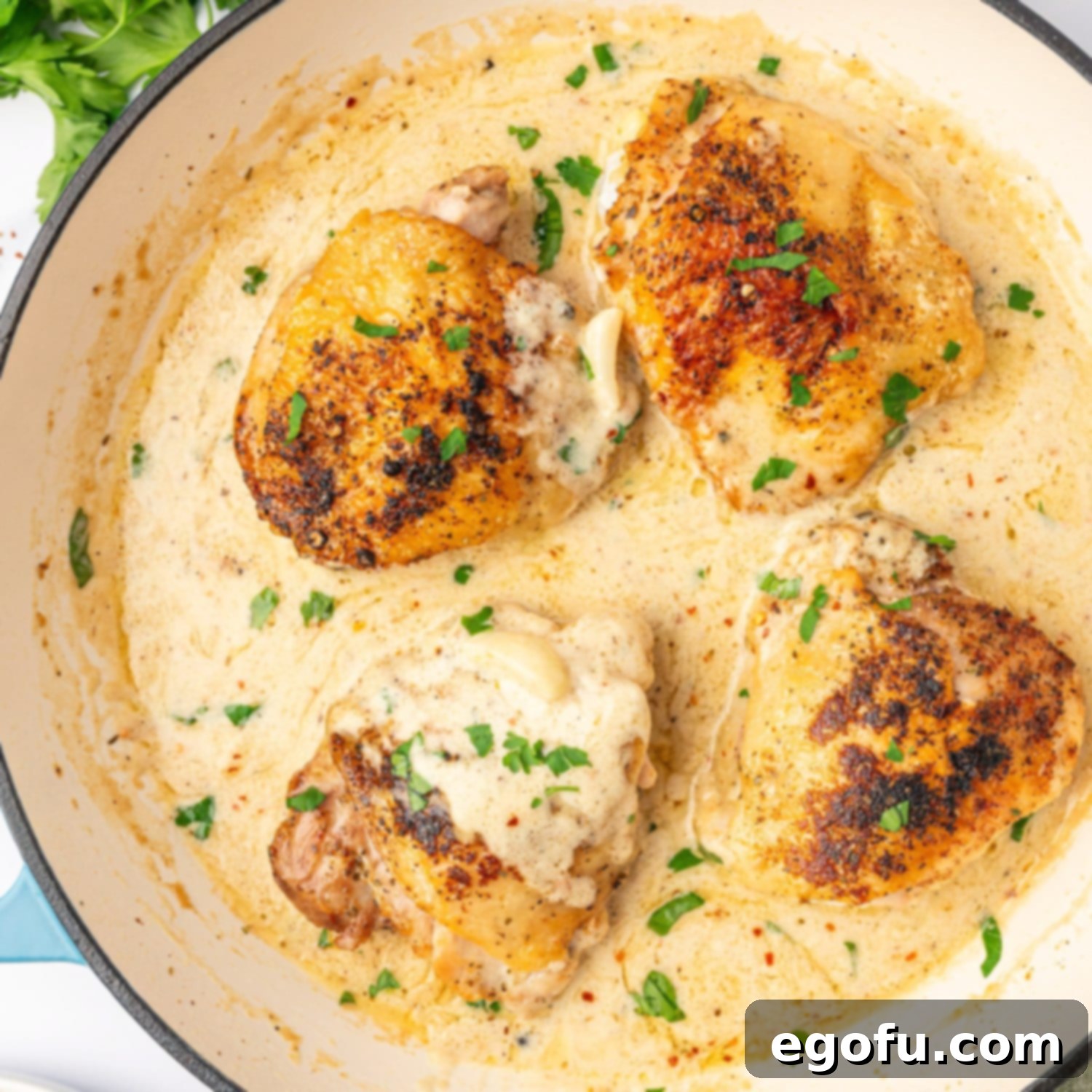 Creamy Garlic Chicken Delight 1 featured 184229