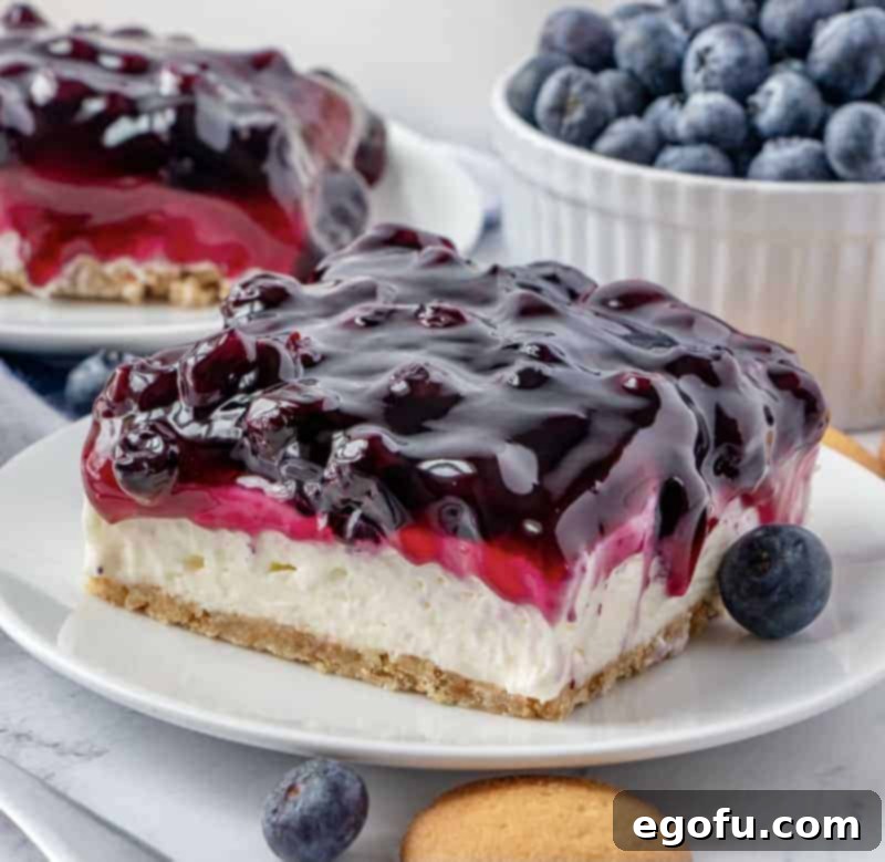 Grandma B's Blueberry Icebox Bars 1 featured 26767