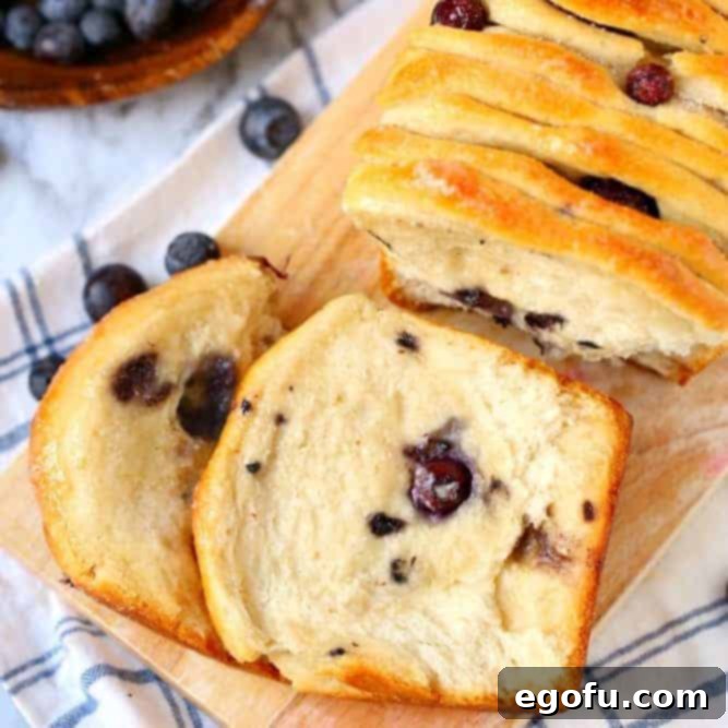 Heavenly Blueberry Tear & Share 1 featured 36408