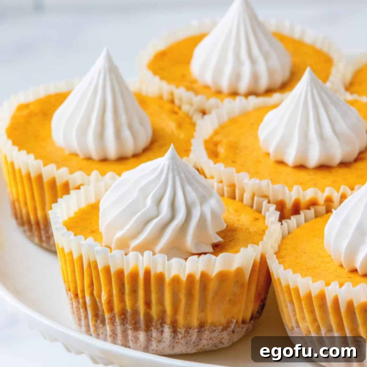 Spiced Pumpkin Cheesecake Minis 1 featured 59760