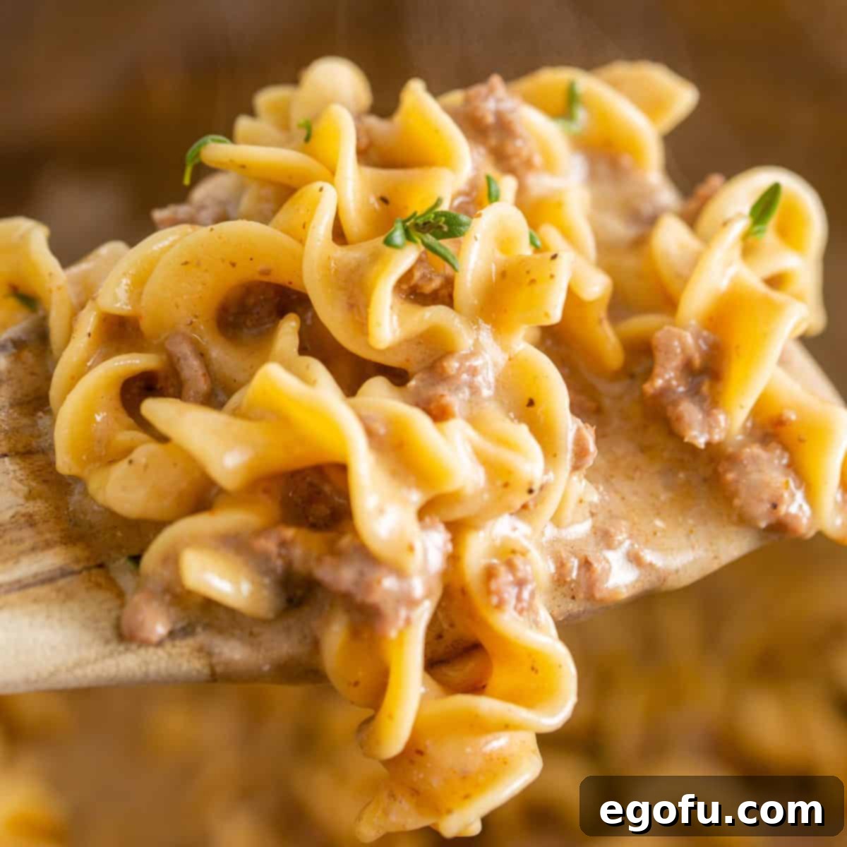Instant Pot Creamy Beef and Noodle Stroganoff 1 featured 80509