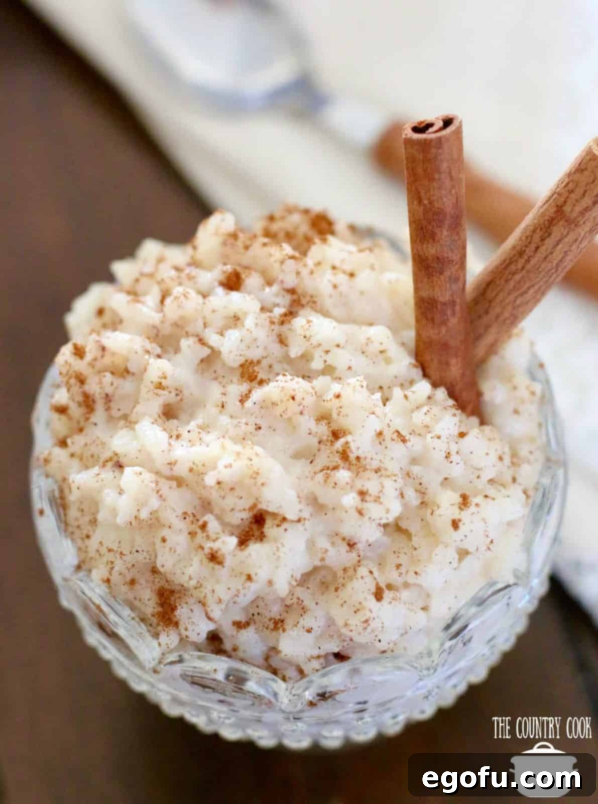 Creamy Crock Pot Rice Pudding 1 featured 9249