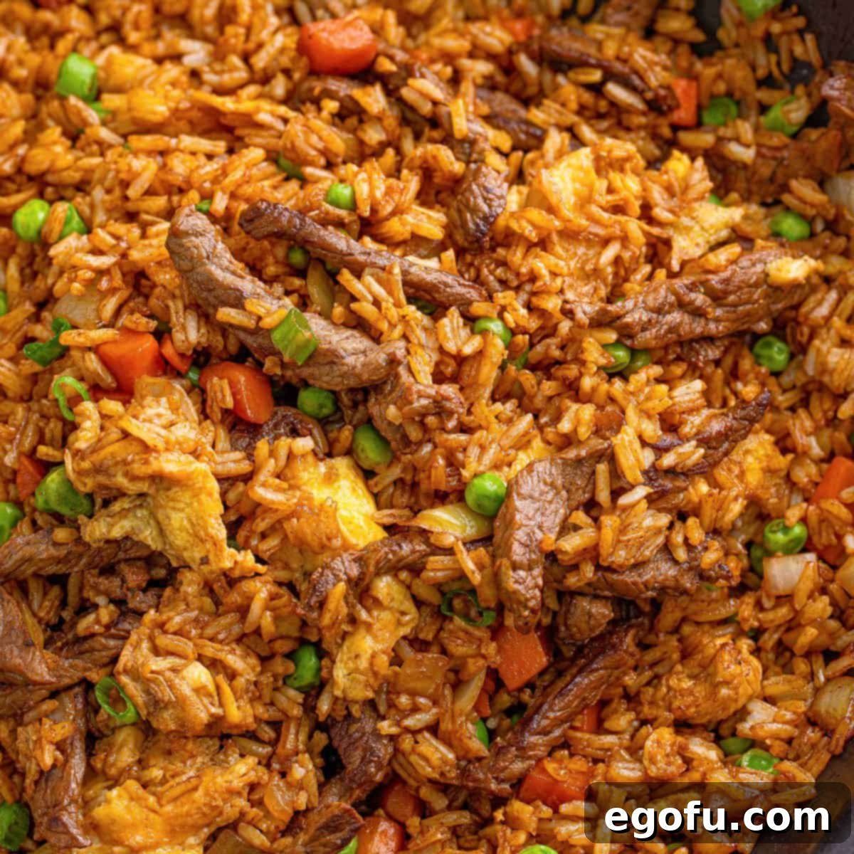 Sizzling Beef Fried Rice 1 featured 93742