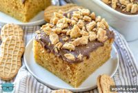 Peanut Butter Avalanche Cake