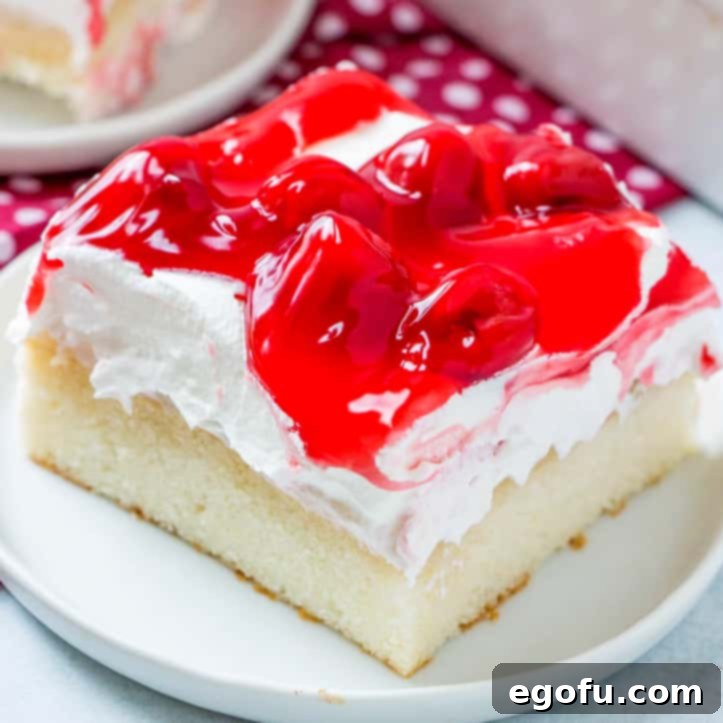 Ruby Snowdrift Cake 1 featured 9431