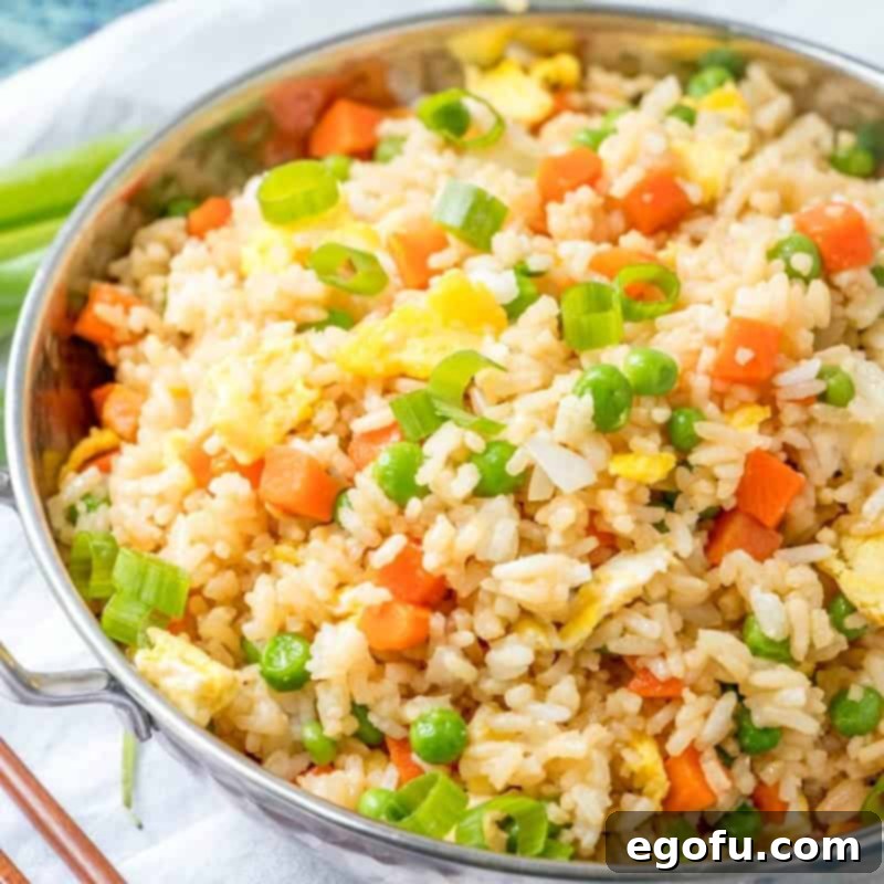 Vibrant Veggie Fried Rice 1 featured 9455
