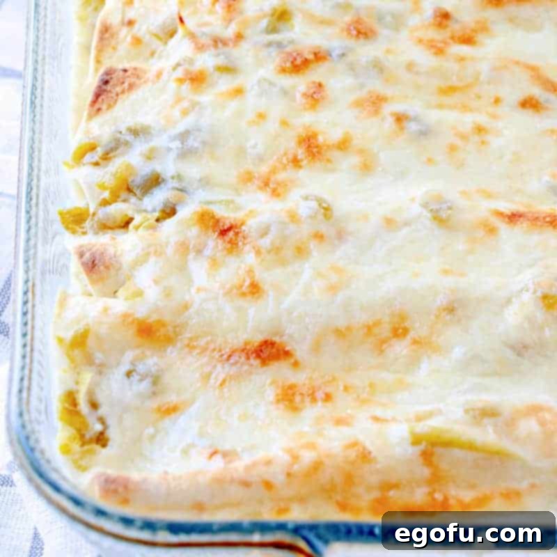 Decadent White Chicken Enchiladas 1 featured 9503