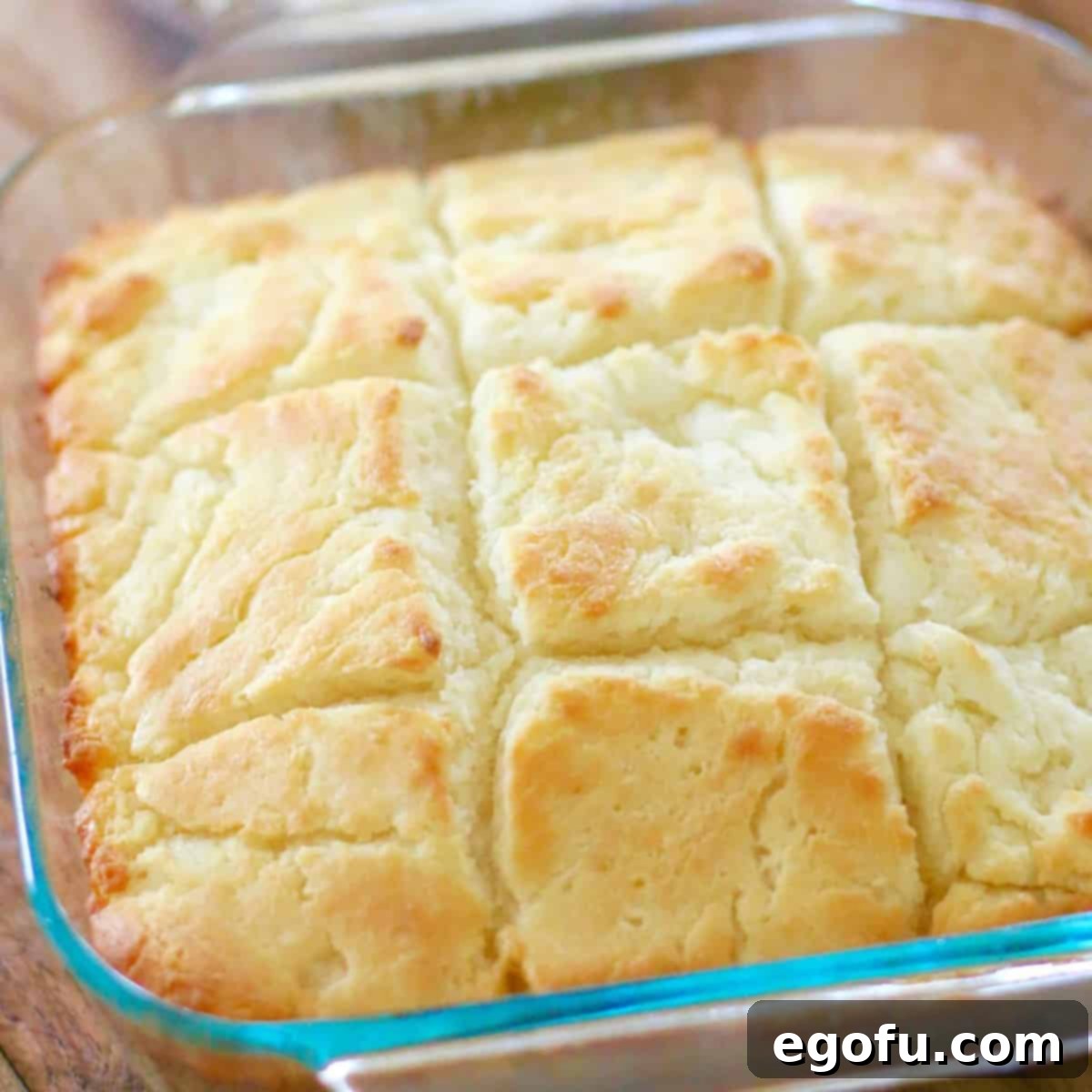 Golden Butter Biscuits 1 featured 9526