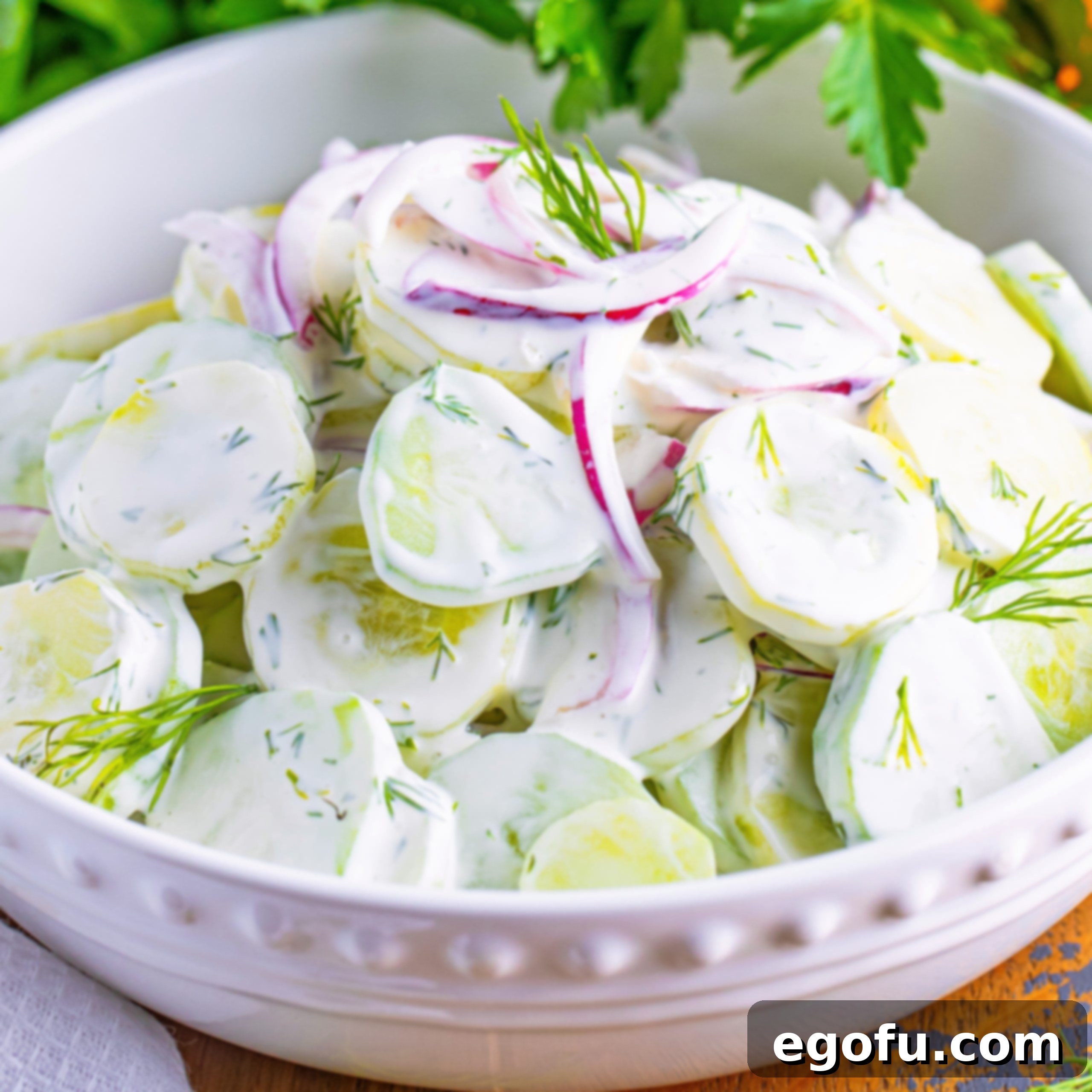 Chilled Cucumber Delight 1 featured 9575