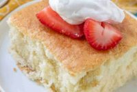 Tender Warm Milk Cake