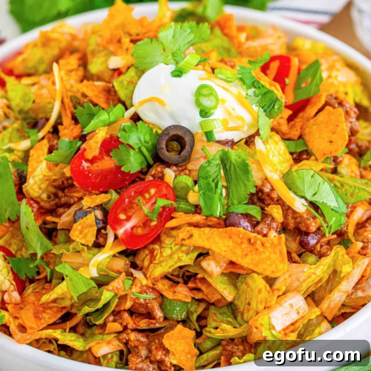 Doritos Fiesta Salad 1 featured 9638