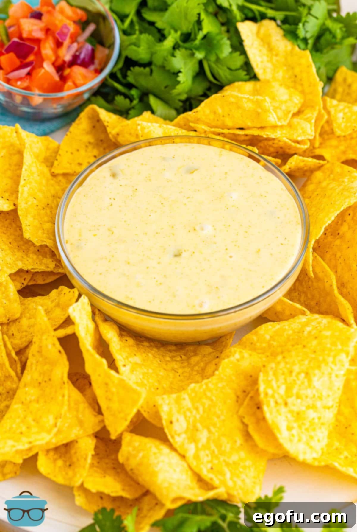 A small bowl of creamy Queso Dip with crispy tortilla chips artfully arranged around it, ready for dipping.
