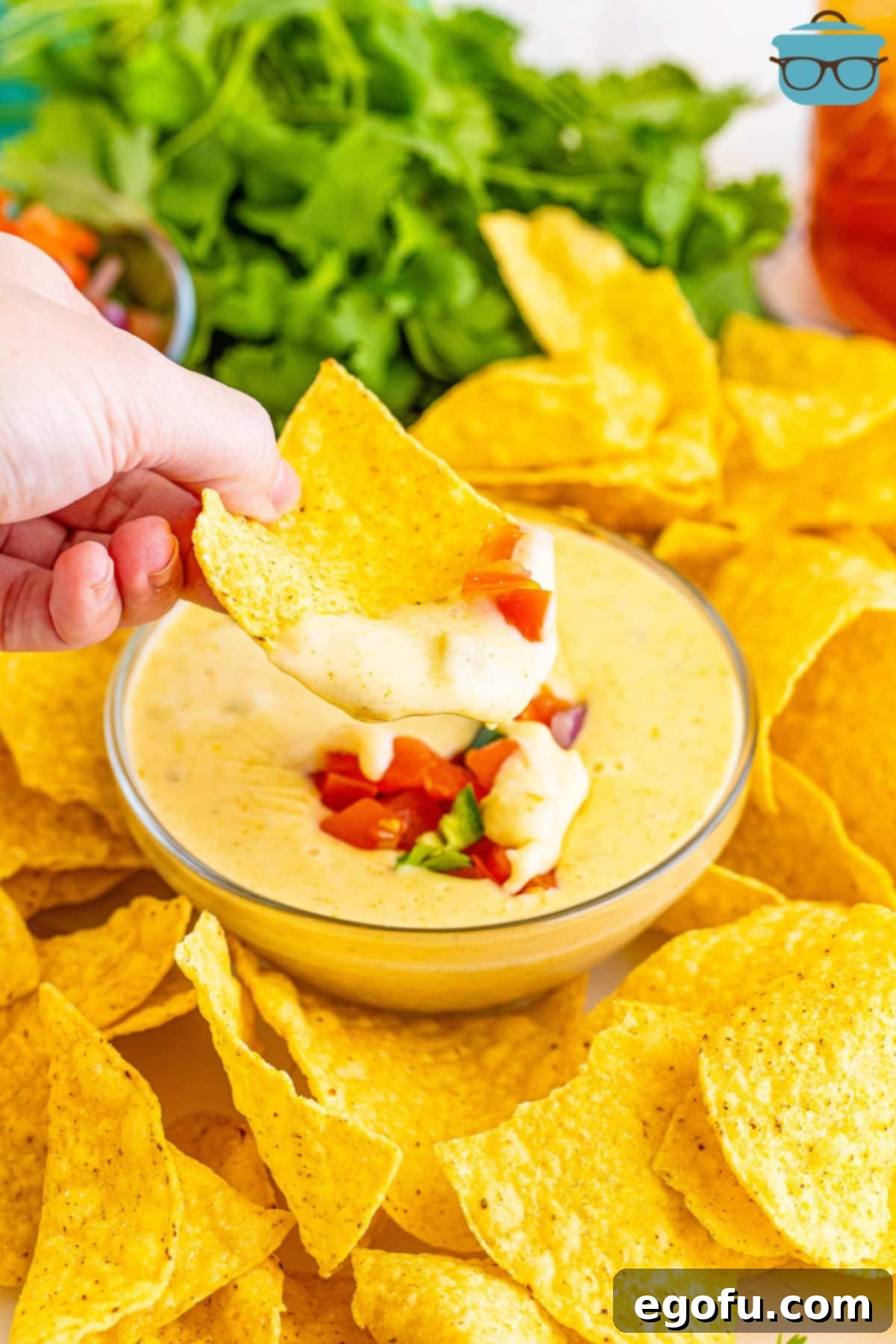 A tortilla chip generously laden with Queso Dip, perfectly ready to be savored.