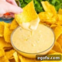 Close up looking at a chip being removed from a bowl of Queso Dip.