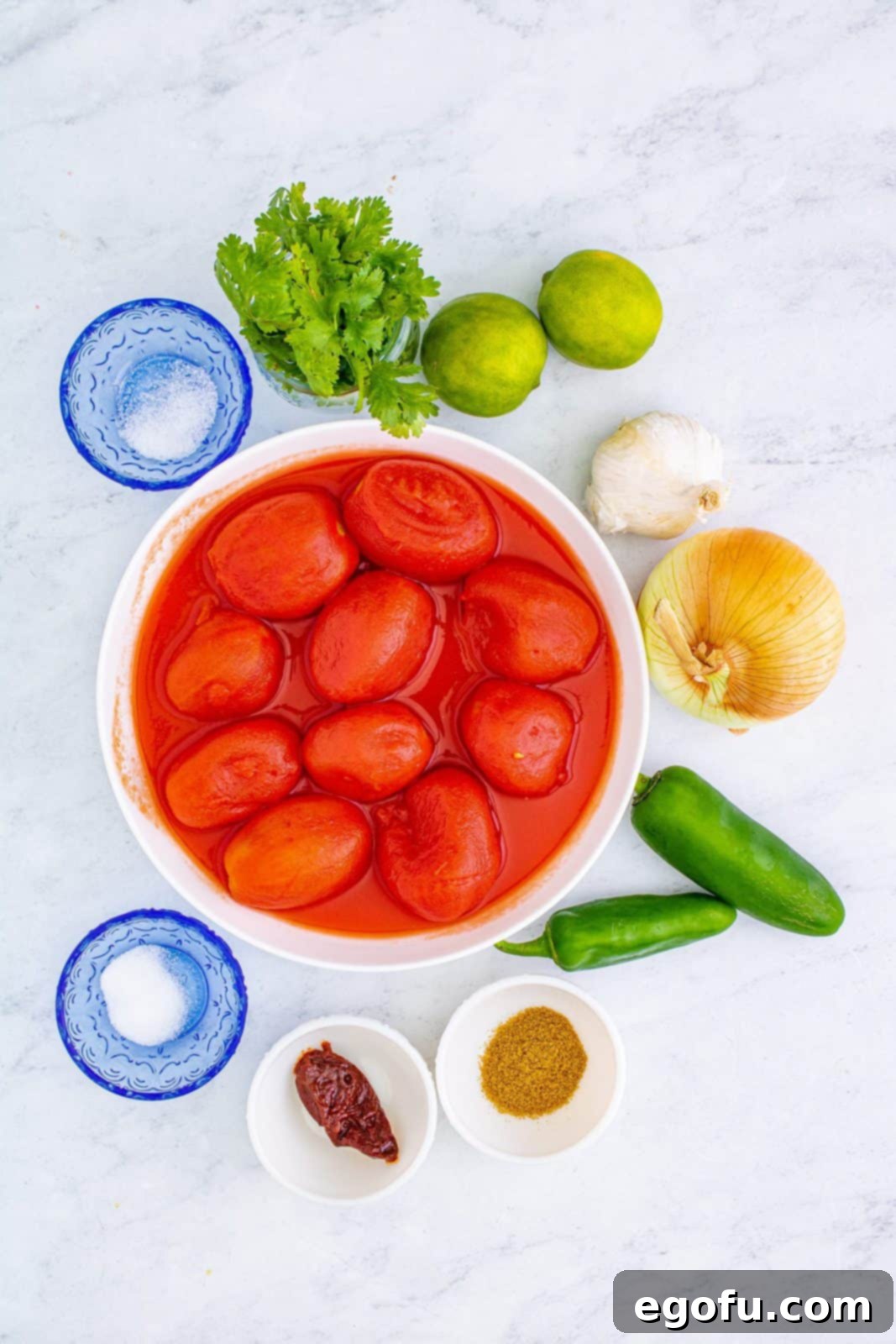 Effortless Blender Salsa 3 All fresh ingredients for Blender Salsa laid out on a cutting board, including tomatoes, cilantro, onion, jalapeño, garlic, and lime.