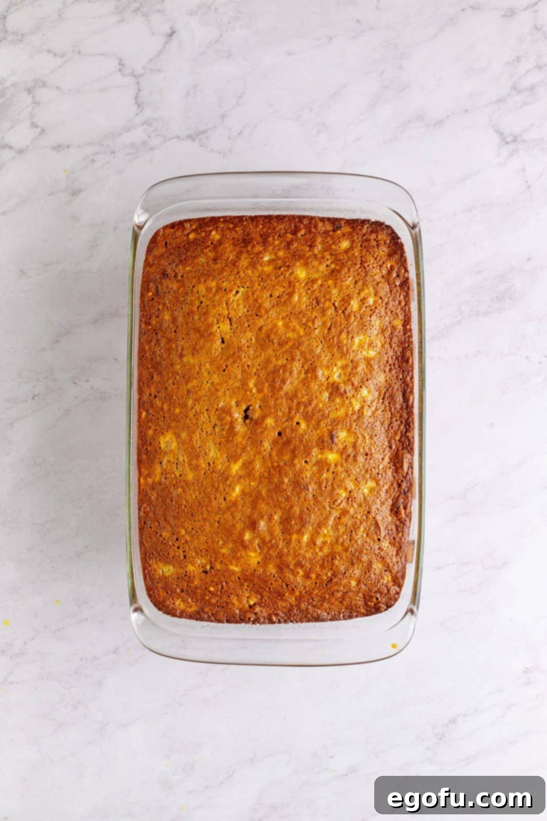 Southern Sunshine Cake 12 Finished cake in pan cooling.