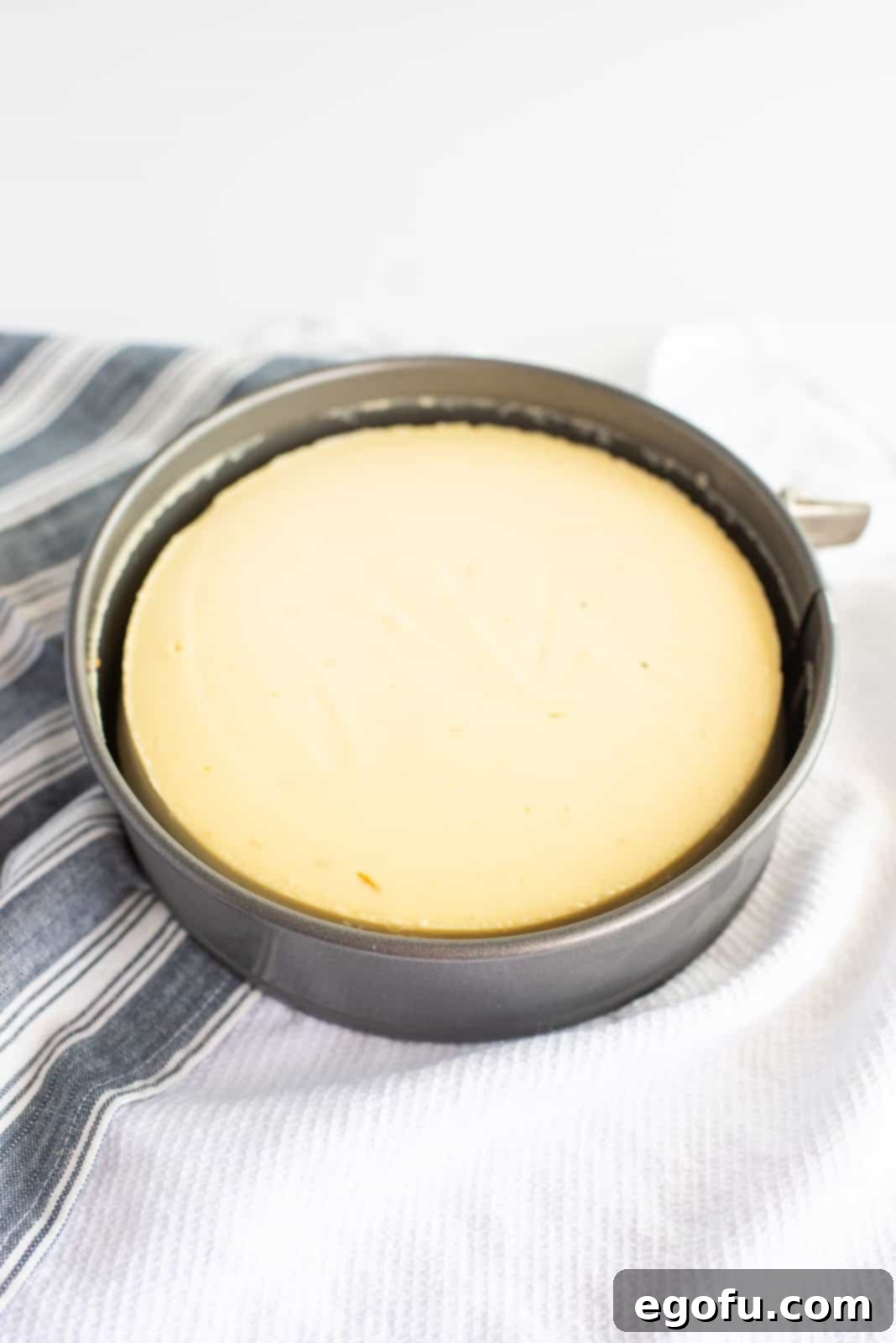 Finished cheesecake in springform pan.