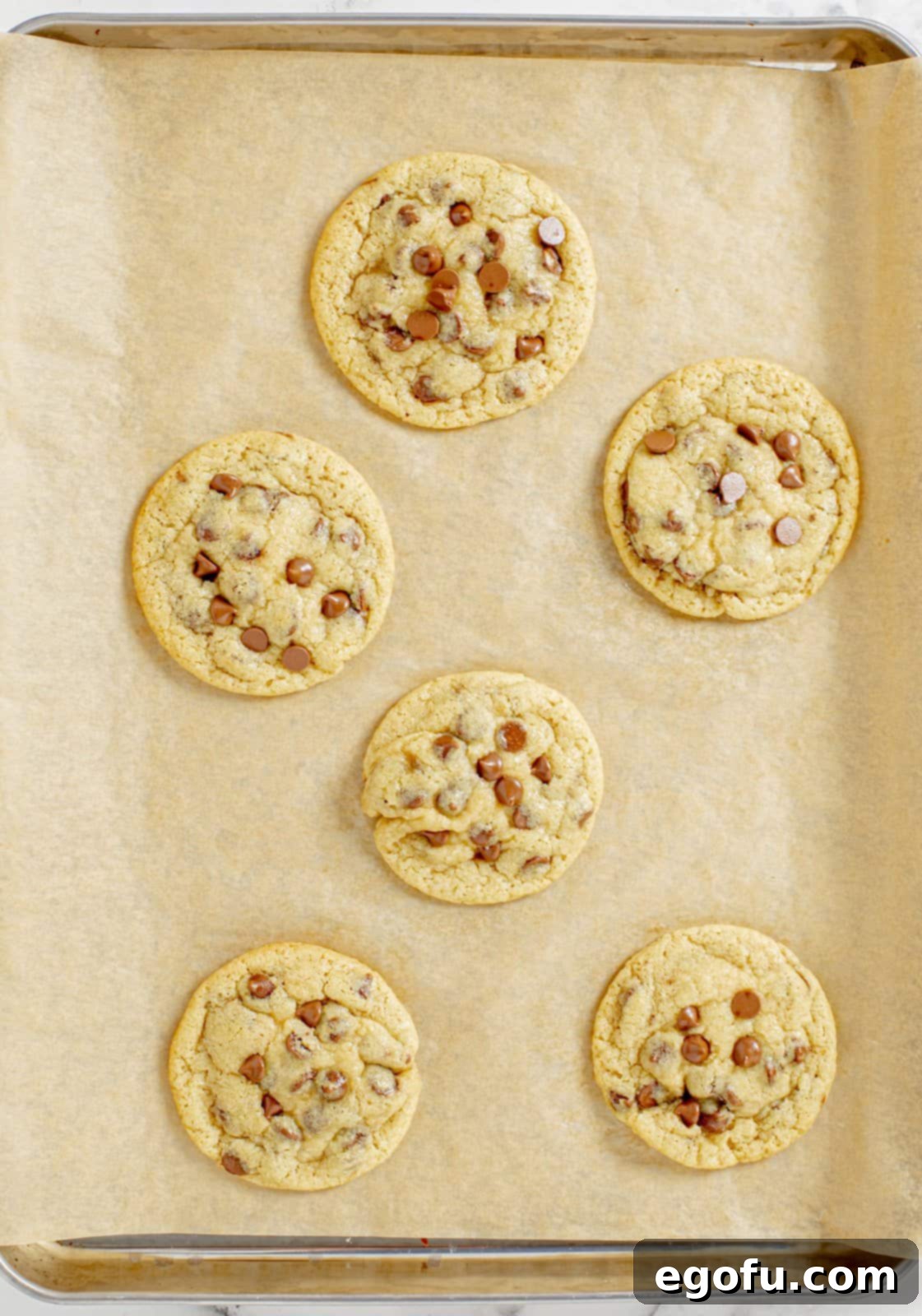 Freshly baked chocolate chip cookies, still warm and slightly puffed, cooling on a baking sheet.