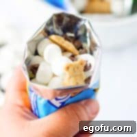 On the Go Smores 7 Square image of hand holding up one of the Walking S'mores.