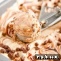 Close up square image of No-Churn Peanut Butter Chocolate Chip Ice Cream in ice cream scoop in pan.