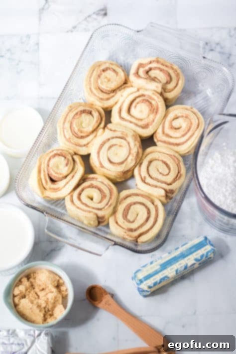 uncooked cinnamon rolls layered into a baking dish.