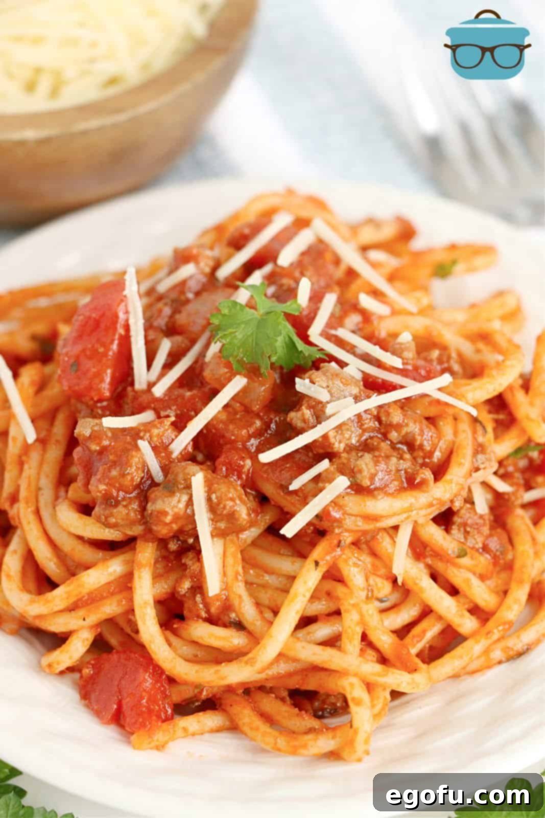 Our School's Spaghetti Day 2 Plate of School Cafeteria Spaghetti with cheese garnish.