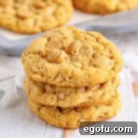 Peanut Butter Oat Cookie Bliss 16 Square image of three stacked Peanut Butter Oatmeal Cookies.