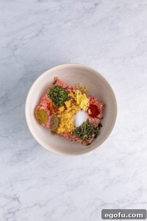Ground pork and seasonings in bowl.