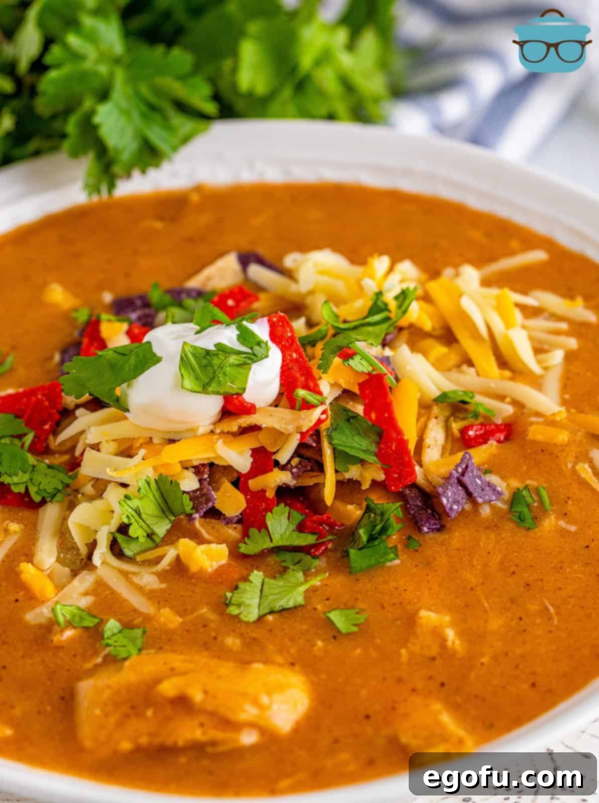 Southwest Chicken Enchilada Bowl 2 Close up of Chicken Enchilada Soup in bowl with toppings.