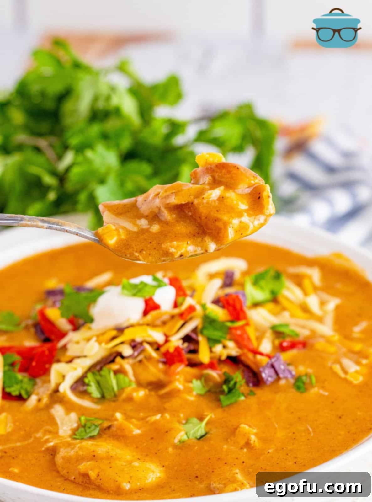 Southwest Chicken Enchilada Bowl 13 Spoon holding up a bite of the Chicken Enchilada Soup.