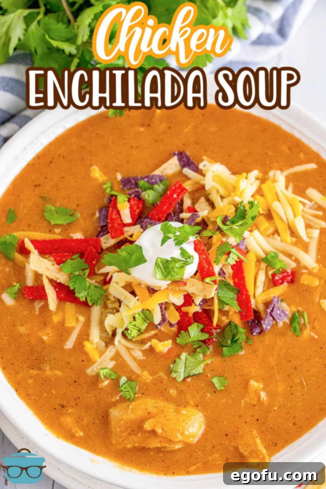 Southwest Chicken Enchilada Bowl 3 Pinterest image overhead of bowl of Chicken Enchilada Soup, garnished.