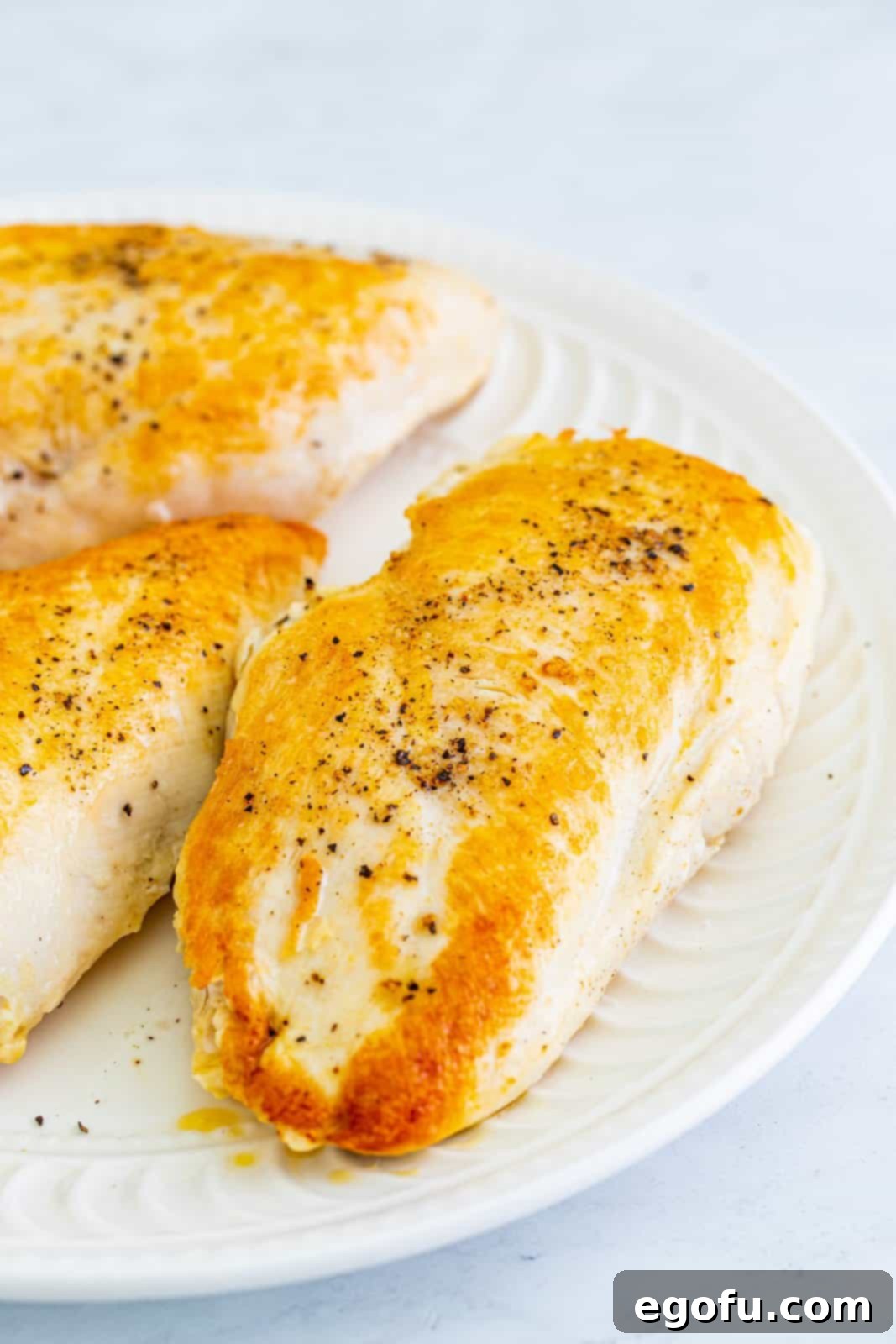 Southwest Chicken Enchilada Bowl 6 Seared chicken on plate.