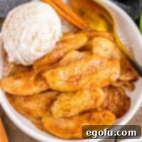 Square image close up overhead of Air Fryer Fried Apples in serving bowl with ice cream.