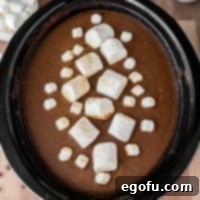 Close-up overhead square image of Crock Pot Pumpkin Hot Chocolate in a mug, adorned with marshmallows, inviting you to take a sip.