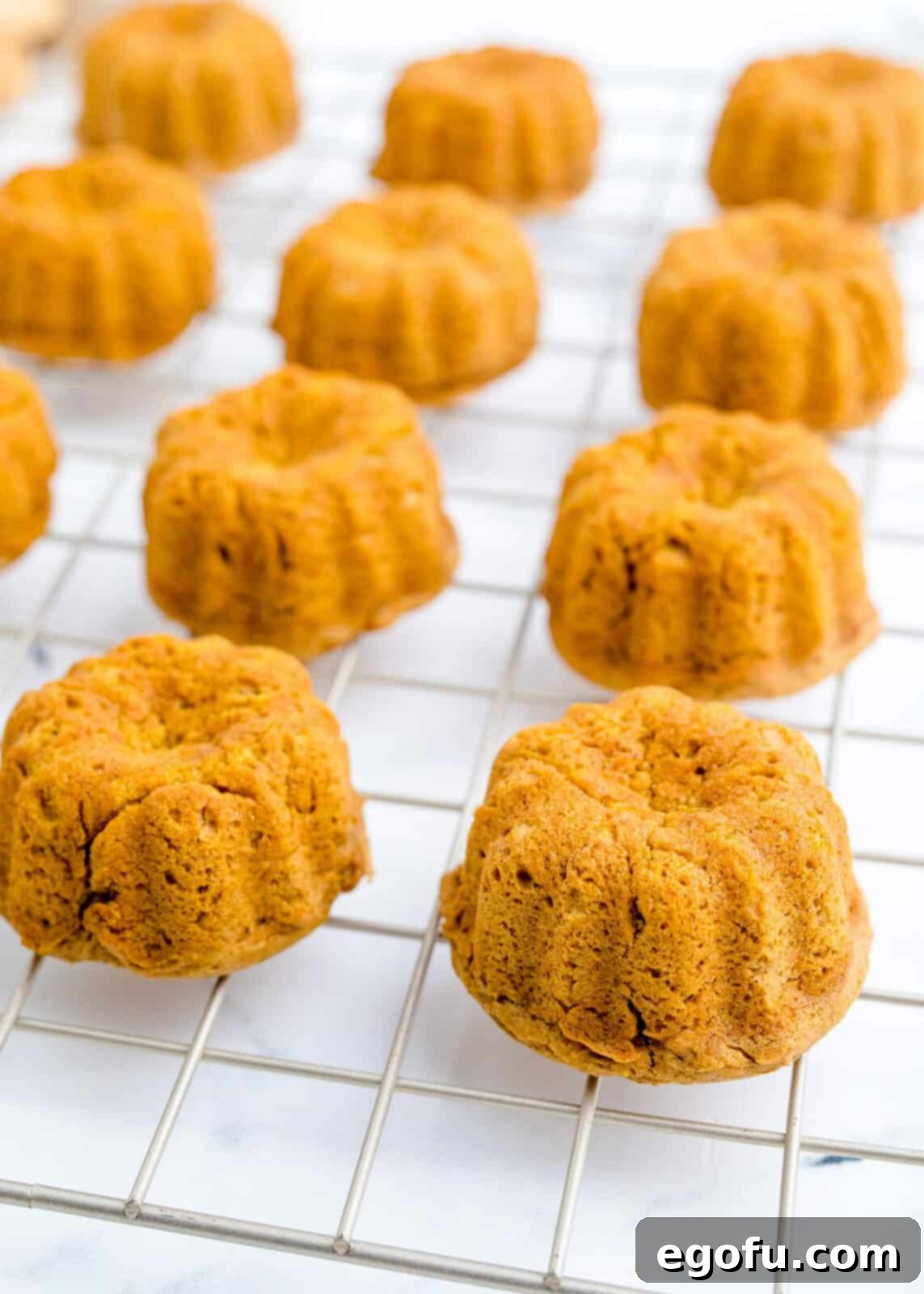 Finished cakes on wire rack cooling.