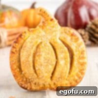 Close up square image of one of the Pumpkin Hand Pies propped up showing pumpkin shape.