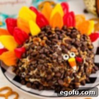 Close up square image of a decorated Turkey Dessert Cheeseball with a festive appearance.