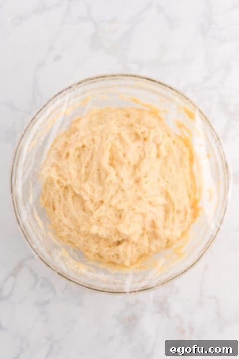 Plastic wrap placed over bowl with dough.