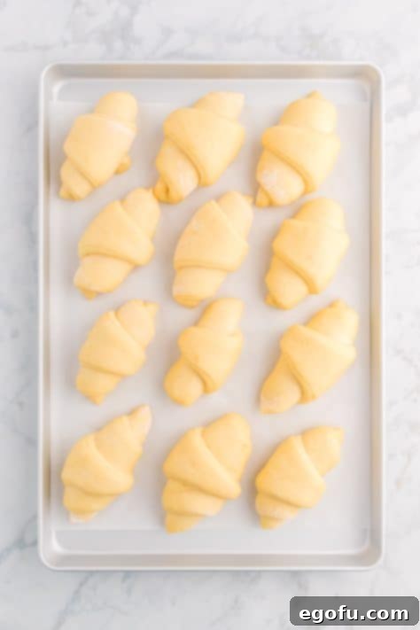 Risen Crescent Rolls on lined baking sheet.
