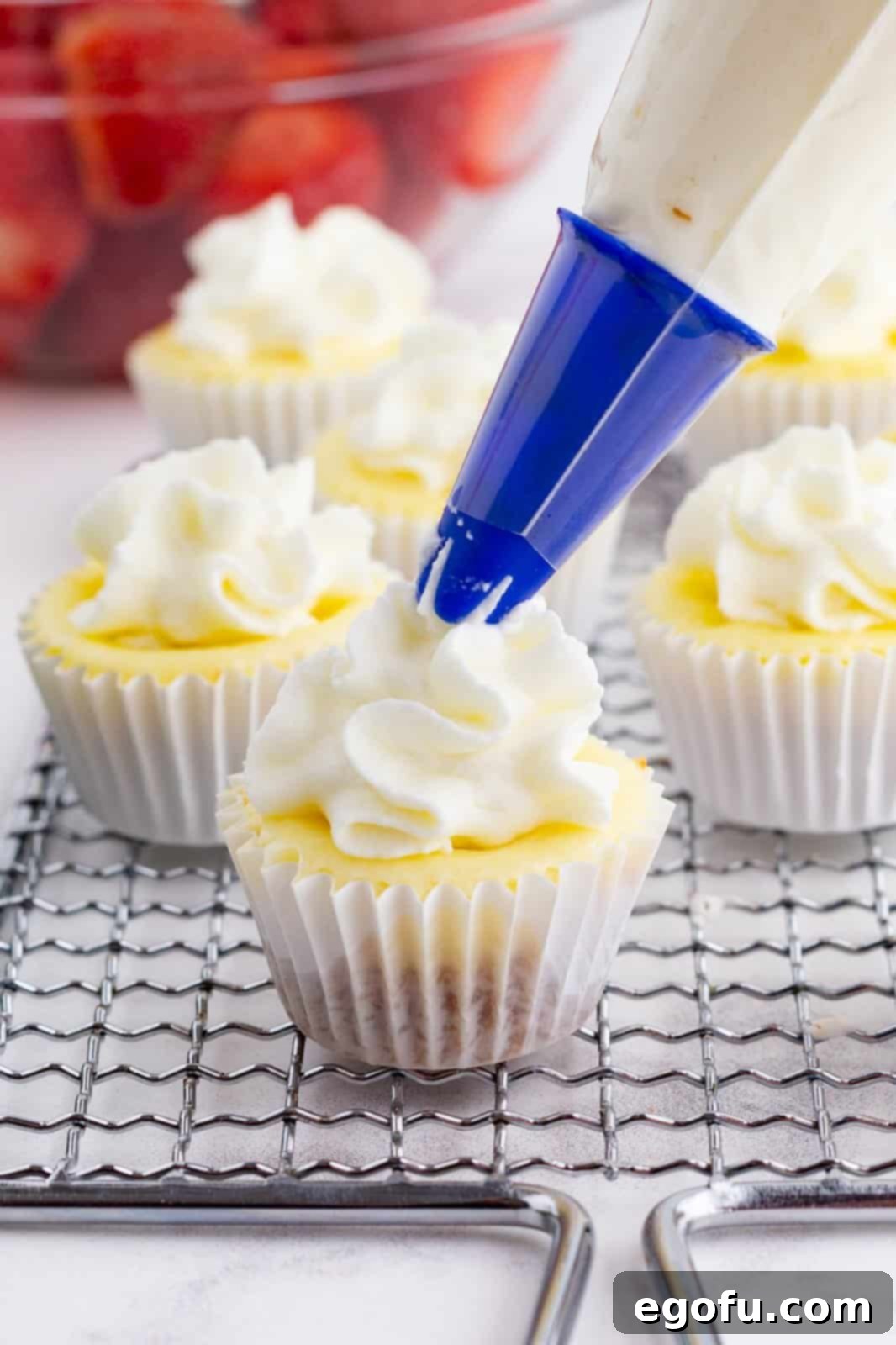 Jolly Santa Hat Cheesecakes 12 Piping bag piping whipped cream to tops of mini cheesecakes.