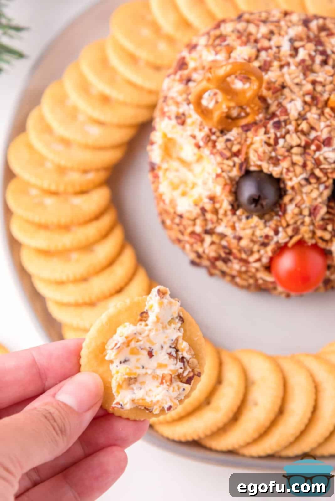 A hand holding a cracker with a scoop of Rudolph Cheeseball, showing its creamy texture and pecan coating.